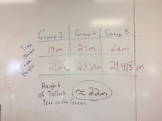 Results of the 3 Groups: Estimated Height of Largest Tree on the Green is About 22m 